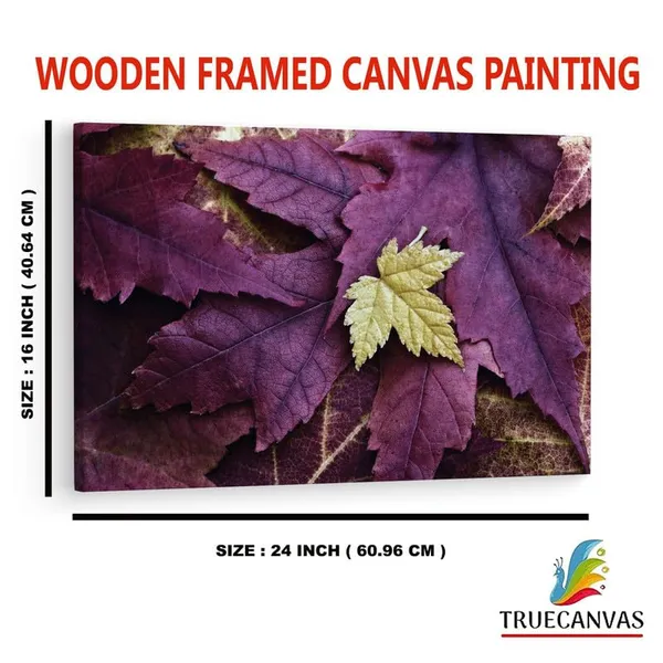 Multicolor_16_X_24_Inch,_Pine_Wood_Framed_Canvas_Paintings_|_For_Home_Decor,_Ready_To_Wall_Hanging,_Premium_Painting_|_For_|_Bedroom,_Living_Room,_Office_Wall_Decoration_|_Wall_Art_Painting,_Ct2355