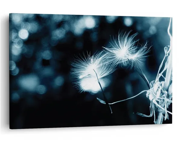 Multicolor_16_X_24_Inch,_Pine_Wood_Framed_Canvas_Paintings_|_For_Home_Decor,_Ready_To_Wall_Hanging,_Premium_Painting_|_For_|_Bedroom,_Living_Room,_Office_Wall_Decoration_|_Wall_Art_Painting,_Ct2357