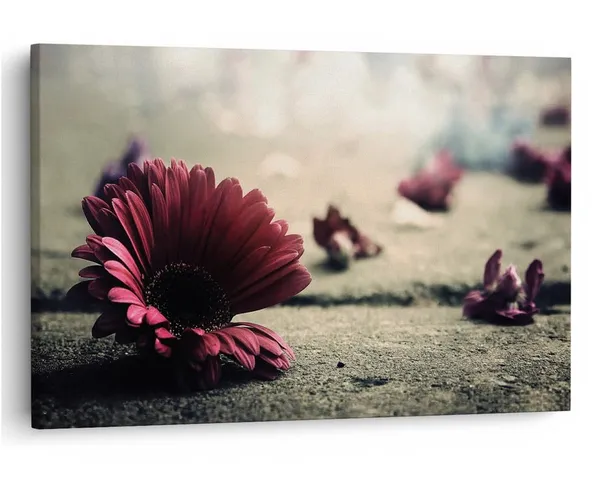 Multicolor_16_X_24_Inch,_Pine_Wood_Framed_Canvas_Paintings_|_For_Home_Decor,_Ready_To_Wall_Hanging,_Premium_Painting_|_For_|_Bedroom,_Living_Room,_Office_Wall_Decoration_|_Wall_Art_Painting,_Ct2358