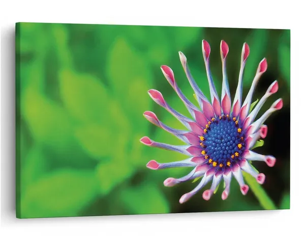Multicolor_16_X_24_Inch,_Pine_Wood_Framed_Canvas_Paintings_|_For_Home_Decor,_Ready_To_Wall_Hanging,_Premium_Painting_|_For_|_Bedroom,_Living_Room,_Office_Wall_Decoration_|_Wall_Art_Painting,_Ct2359