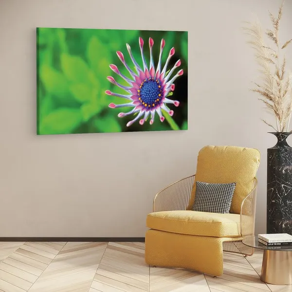 Multicolor_16_X_24_Inch,_Pine_Wood_Framed_Canvas_Paintings_|_For_Home_Decor,_Ready_To_Wall_Hanging,_Premium_Painting_|_For_|_Bedroom,_Living_Room,_Office_Wall_Decoration_|_Wall_Art_Painting,_Ct2359