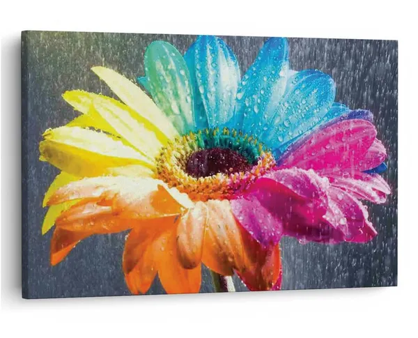 Multicolor_16_X_24_Inch,_Pine_Wood_Framed_Canvas_Paintings_|_For_Home_Decor,_Ready_To_Wall_Hanging,_Premium_Painting_|_For_|_Bedroom,_Living_Room,_Office_Wall_Decoration_|_Wall_Art_Painting,_Ct2360
