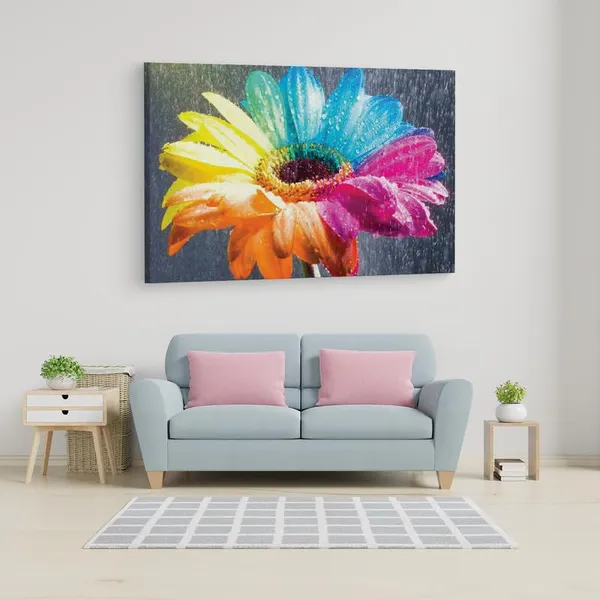Multicolor_16_X_24_Inch,_Pine_Wood_Framed_Canvas_Paintings_|_For_Home_Decor,_Ready_To_Wall_Hanging,_Premium_Painting_|_For_|_Bedroom,_Living_Room,_Office_Wall_Decoration_|_Wall_Art_Painting,_Ct2360