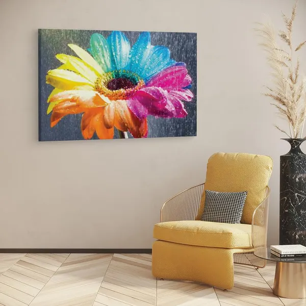 Multicolor_16_X_24_Inch,_Pine_Wood_Framed_Canvas_Paintings_|_For_Home_Decor,_Ready_To_Wall_Hanging,_Premium_Painting_|_For_|_Bedroom,_Living_Room,_Office_Wall_Decoration_|_Wall_Art_Painting,_Ct2360