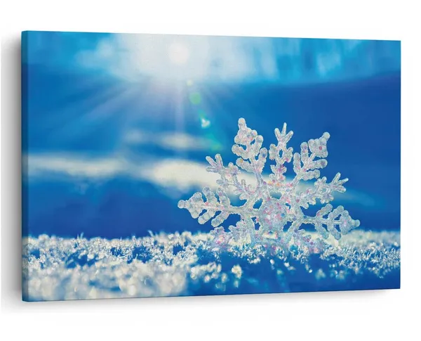 Multicolor_16_X_24_Inch,_Pine_Wood_Framed_Canvas_Paintings_|_For_Home_Decor,_Ready_To_Wall_Hanging,_Premium_Painting_|_For_|_Bedroom,_Living_Room,_Office_Wall_Decoration_|_Wall_Art_Painting,_Ct2361