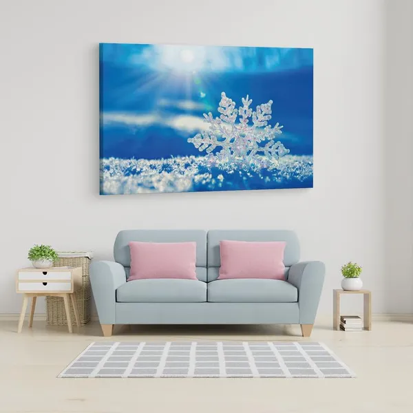 Multicolor_16_X_24_Inch,_Pine_Wood_Framed_Canvas_Paintings_|_For_Home_Decor,_Ready_To_Wall_Hanging,_Premium_Painting_|_For_|_Bedroom,_Living_Room,_Office_Wall_Decoration_|_Wall_Art_Painting,_Ct2361