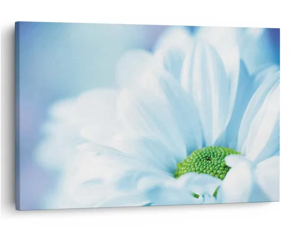 Multicolor_16_X_24_Inch,_Pine_Wood_Framed_Canvas_Paintings_|_For_Home_Decor,_Ready_To_Wall_Hanging,_Premium_Painting_|_For_|_Bedroom,_Living_Room,_Office_Wall_Decoration_|_Wall_Art_Painting,_Ct2363