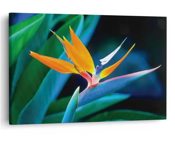 Multicolor_16_X_24_Inch,_Pine_Wood_Framed_Canvas_Paintings_|_For_Home_Decor,_Ready_To_Wall_Hanging,_Premium_Painting_|_For_|_Bedroom,_Living_Room,_Office_Wall_Decoration_|_Wall_Art_Painting,_Ct2364