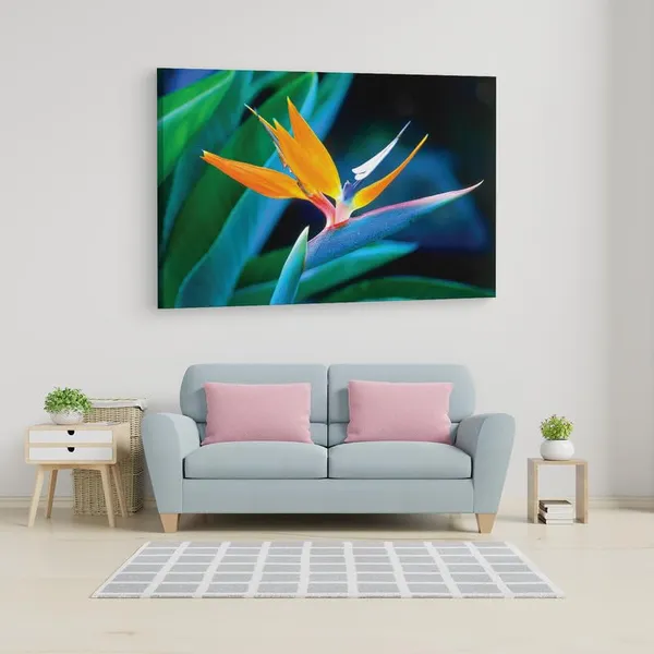 Multicolor_16_X_24_Inch,_Pine_Wood_Framed_Canvas_Paintings_|_For_Home_Decor,_Ready_To_Wall_Hanging,_Premium_Painting_|_For_|_Bedroom,_Living_Room,_Office_Wall_Decoration_|_Wall_Art_Painting,_Ct2364