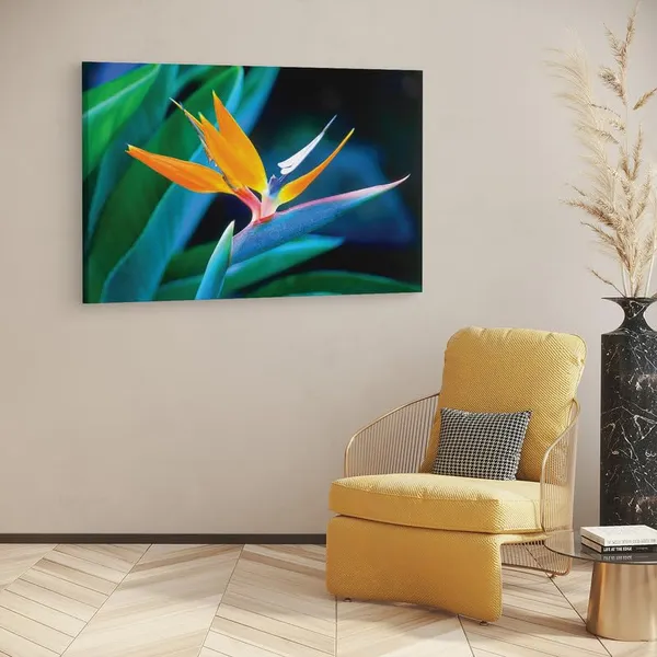 Multicolor_16_X_24_Inch,_Pine_Wood_Framed_Canvas_Paintings_|_For_Home_Decor,_Ready_To_Wall_Hanging,_Premium_Painting_|_For_|_Bedroom,_Living_Room,_Office_Wall_Decoration_|_Wall_Art_Painting,_Ct2364