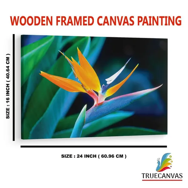 Multicolor_16_X_24_Inch,_Pine_Wood_Framed_Canvas_Paintings_|_For_Home_Decor,_Ready_To_Wall_Hanging,_Premium_Painting_|_For_|_Bedroom,_Living_Room,_Office_Wall_Decoration_|_Wall_Art_Painting,_Ct2364
