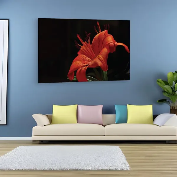 Multicolor_16_X_24_Inch,_Pine_Wood_Framed_Canvas_Paintings_|_For_Home_Decor,_Ready_To_Wall_Hanging,_Premium_Painting_|_For_|_Bedroom,_Living_Room,_Office_Wall_Decoration_|_Wall_Art_Painting,_Ct2365