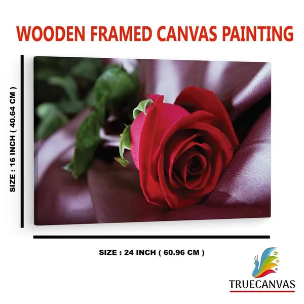 Multicolor_16_X_24_Inch,_Pine_Wood_Framed_Canvas_Paintings_|_For_Home_Decor,_Ready_To_Wall_Hanging,_Premium_Painting_|_For_|_Bedroom,_Living_Room,_Office_Wall_Decoration_|_Wall_Art_Painting,_Ct2366