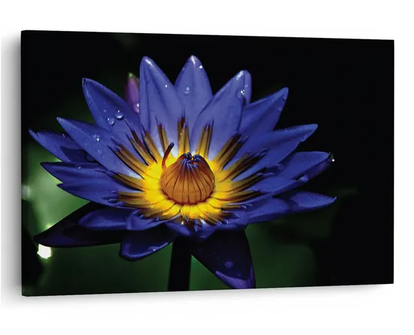 Multicolor_16_X_24_Inch,_Pine_Wood_Framed_Canvas_Paintings_|_For_Home_Decor,_Ready_To_Wall_Hanging,_Premium_Painting_|_For_|_Bedroom,_Living_Room,_Office_Wall_Decoration_|_Wall_Art_Painting,_Ct2369