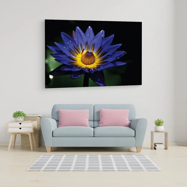 Multicolor_16_X_24_Inch,_Pine_Wood_Framed_Canvas_Paintings_|_For_Home_Decor,_Ready_To_Wall_Hanging,_Premium_Painting_|_For_|_Bedroom,_Living_Room,_Office_Wall_Decoration_|_Wall_Art_Painting,_Ct2369
