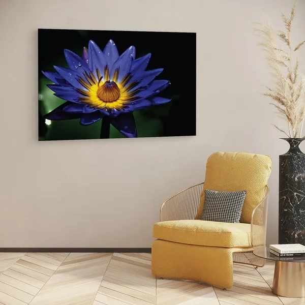 Multicolor_16_X_24_Inch,_Pine_Wood_Framed_Canvas_Paintings_|_For_Home_Decor,_Ready_To_Wall_Hanging,_Premium_Painting_|_For_|_Bedroom,_Living_Room,_Office_Wall_Decoration_|_Wall_Art_Painting,_Ct2369
