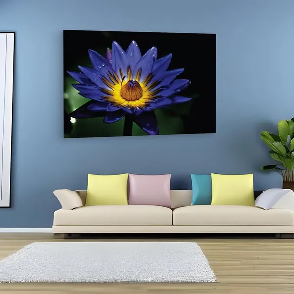 Multicolor_16_X_24_Inch,_Pine_Wood_Framed_Canvas_Paintings_|_For_Home_Decor,_Ready_To_Wall_Hanging,_Premium_Painting_|_For_|_Bedroom,_Living_Room,_Office_Wall_Decoration_|_Wall_Art_Painting,_Ct2369