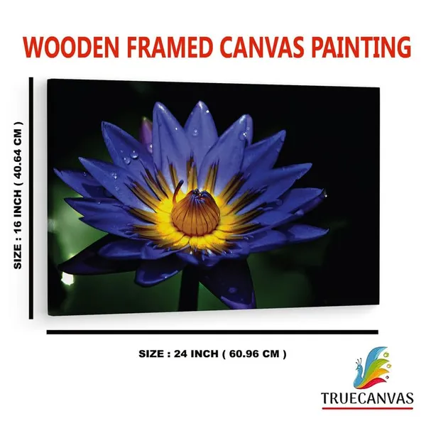 Multicolor_16_X_24_Inch,_Pine_Wood_Framed_Canvas_Paintings_|_For_Home_Decor,_Ready_To_Wall_Hanging,_Premium_Painting_|_For_|_Bedroom,_Living_Room,_Office_Wall_Decoration_|_Wall_Art_Painting,_Ct2369