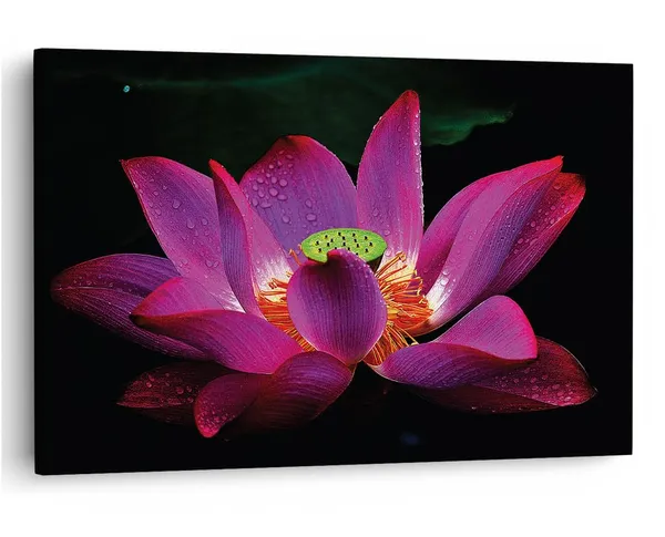 Multicolor_16_X_24_Inch,_Pine_Wood_Framed_Canvas_Paintings_|_For_Home_Decor,_Ready_To_Wall_Hanging,_Premium_Painting_|_For_|_Bedroom,_Living_Room,_Office_Wall_Decoration_|_Wall_Art_Painting,_Ct2370