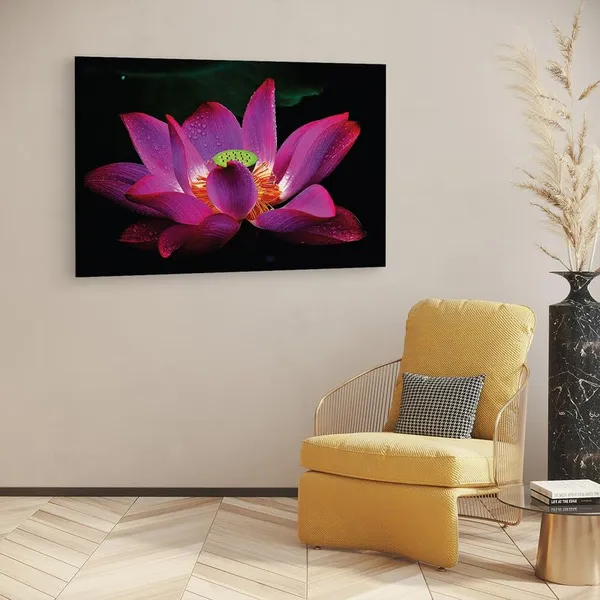 Multicolor_16_X_24_Inch,_Pine_Wood_Framed_Canvas_Paintings_|_For_Home_Decor,_Ready_To_Wall_Hanging,_Premium_Painting_|_For_|_Bedroom,_Living_Room,_Office_Wall_Decoration_|_Wall_Art_Painting,_Ct2370