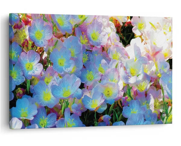 Multicolor_16_X_24_Inch,_Pine_Wood_Framed_Canvas_Paintings_|_For_Home_Decor,_Ready_To_Wall_Hanging,_Premium_Painting_|_For_|_Bedroom,_Living_Room,_Office_Wall_Decoration_|_Wall_Art_Painting,_Ct2372
