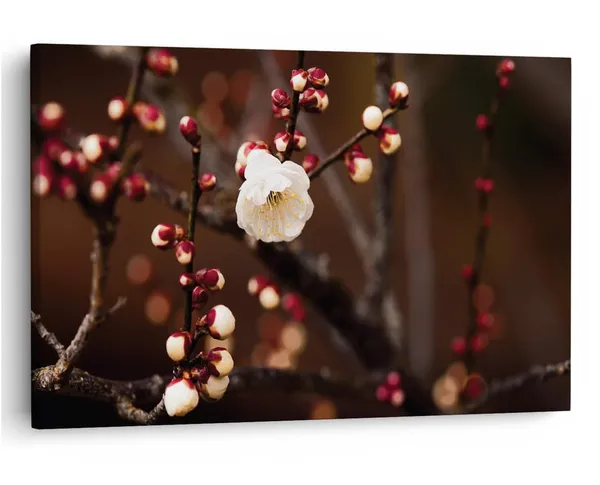 Multicolor_16_X_24_Inch,_Pine_Wood_Framed_Canvas_Paintings_|_For_Home_Decor,_Ready_To_Wall_Hanging,_Premium_Painting_|_For_|_Bedroom,_Living_Room,_Office_Wall_Decoration_|_Wall_Art_Painting,_Ct2373