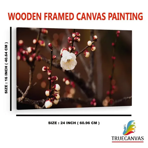 Multicolor_16_X_24_Inch,_Pine_Wood_Framed_Canvas_Paintings_|_For_Home_Decor,_Ready_To_Wall_Hanging,_Premium_Painting_|_For_|_Bedroom,_Living_Room,_Office_Wall_Decoration_|_Wall_Art_Painting,_Ct2373