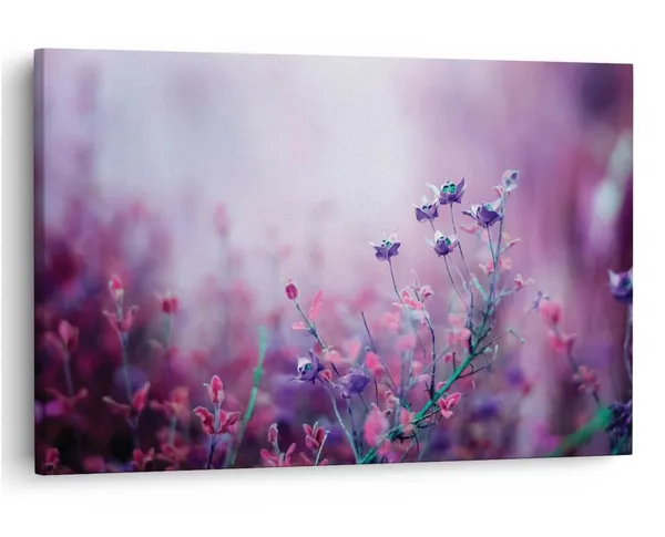 Multicolor_16_X_24_Inch,_Pine_Wood_Framed_Canvas_Paintings_|_For_Home_Decor,_Ready_To_Wall_Hanging,_Premium_Painting_|_For_|_Bedroom,_Living_Room,_Office_Wall_Decoration_|_Wall_Art_Painting,_Ct2375