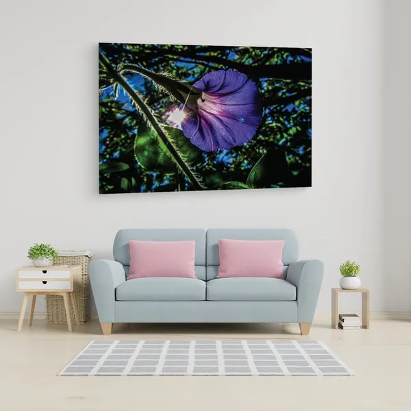 Multicolor_16_X_24_Inch,_Pine_Wood_Framed_Canvas_Paintings_|_For_Home_Decor,_Ready_To_Wall_Hanging,_Premium_Painting_|_For_|_Bedroom,_Living_Room,_Office_Wall_Decoration_|_Wall_Art_Painting,_Ct2377