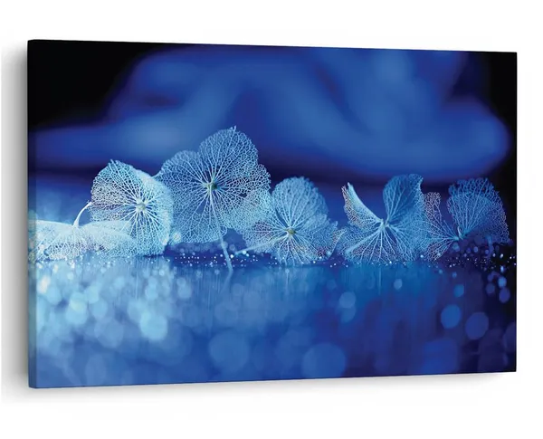 Multicolor_16_X_24_Inch,_Pine_Wood_Framed_Canvas_Paintings_|_For_Home_Decor,_Ready_To_Wall_Hanging,_Premium_Painting_|_For_|_Bedroom,_Living_Room,_Office_Wall_Decoration_|_Wall_Art_Painting,_Ct2378