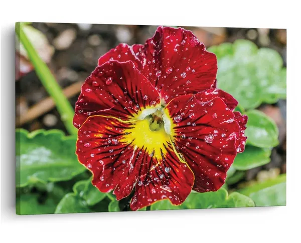 Multicolor_16_X_24_Inch,_Pine_Wood_Framed_Canvas_Paintings_|_For_Home_Decor,_Ready_To_Wall_Hanging,_Premium_Painting_|_For_|_Bedroom,_Living_Room,_Office_Wall_Decoration_|_Wall_Art_Painting,_Ct2379
