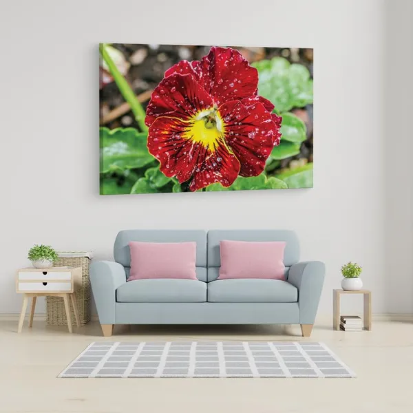 Multicolor_16_X_24_Inch,_Pine_Wood_Framed_Canvas_Paintings_|_For_Home_Decor,_Ready_To_Wall_Hanging,_Premium_Painting_|_For_|_Bedroom,_Living_Room,_Office_Wall_Decoration_|_Wall_Art_Painting,_Ct2379