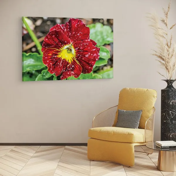 Multicolor_16_X_24_Inch,_Pine_Wood_Framed_Canvas_Paintings_|_For_Home_Decor,_Ready_To_Wall_Hanging,_Premium_Painting_|_For_|_Bedroom,_Living_Room,_Office_Wall_Decoration_|_Wall_Art_Painting,_Ct2379
