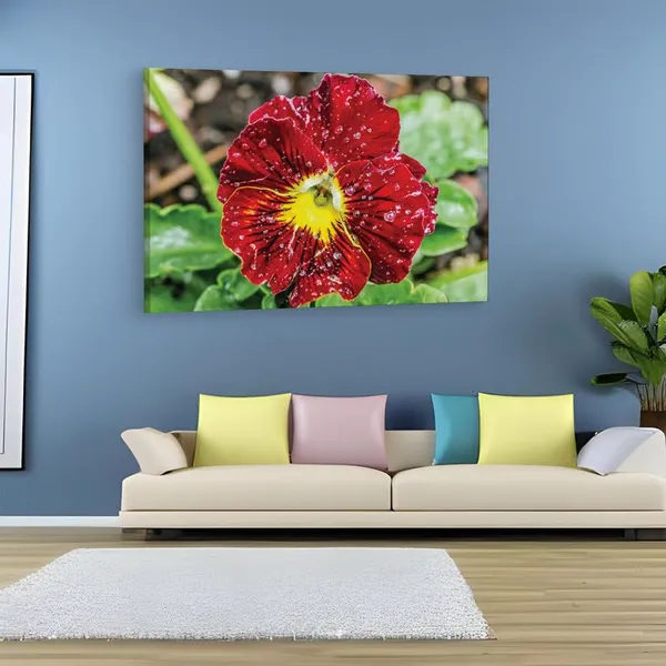 Multicolor_16_X_24_Inch,_Pine_Wood_Framed_Canvas_Paintings_|_For_Home_Decor,_Ready_To_Wall_Hanging,_Premium_Painting_|_For_|_Bedroom,_Living_Room,_Office_Wall_Decoration_|_Wall_Art_Painting,_Ct2379