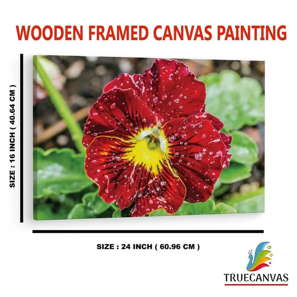 Multicolor_16_X_24_Inch,_Pine_Wood_Framed_Canvas_Paintings_|_For_Home_Decor,_Ready_To_Wall_Hanging,_Premium_Painting_|_For_|_Bedroom,_Living_Room,_Office_Wall_Decoration_|_Wall_Art_Painting,_Ct2379