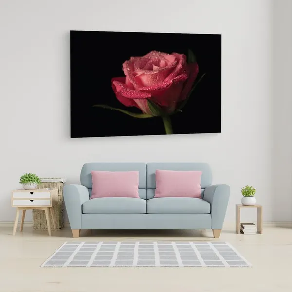 Multicolor_16_X_24_Inch,_Pine_Wood_Framed_Canvas_Paintings_|_For_Home_Decor,_Ready_To_Wall_Hanging,_Premium_Painting_|_For_|_Bedroom,_Living_Room,_Office_Wall_Decoration_|_Wall_Art_Painting,_Ct2380