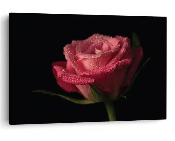 Multicolor_16_X_24_Inch,_Pine_Wood_Framed_Canvas_Paintings_|_For_Home_Decor,_Ready_To_Wall_Hanging,_Premium_Painting_|_For_|_Bedroom,_Living_Room,_Office_Wall_Decoration_|_Wall_Art_Painting,_Ct2380
