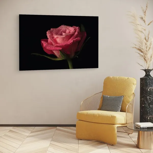 Multicolor_16_X_24_Inch,_Pine_Wood_Framed_Canvas_Paintings_|_For_Home_Decor,_Ready_To_Wall_Hanging,_Premium_Painting_|_For_|_Bedroom,_Living_Room,_Office_Wall_Decoration_|_Wall_Art_Painting,_Ct2380