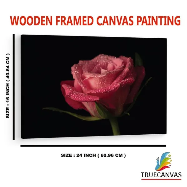 Multicolor_16_X_24_Inch,_Pine_Wood_Framed_Canvas_Paintings_|_For_Home_Decor,_Ready_To_Wall_Hanging,_Premium_Painting_|_For_|_Bedroom,_Living_Room,_Office_Wall_Decoration_|_Wall_Art_Painting,_Ct2380