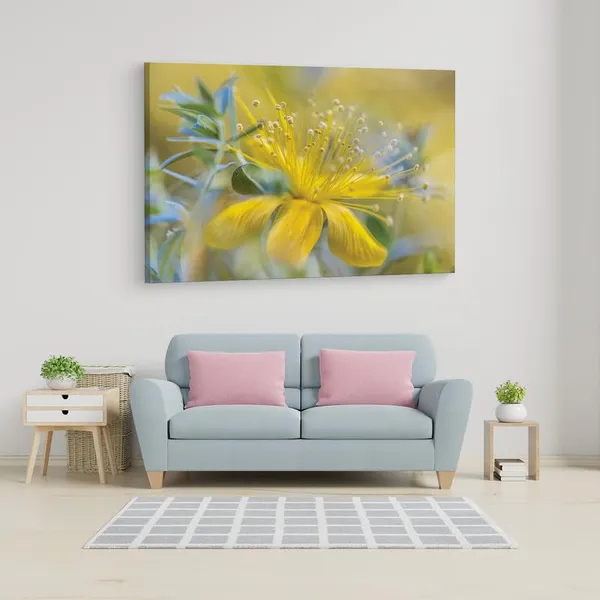 Multicolor_16_X_24_Inch,_Pine_Wood_Framed_Canvas_Paintings_|_For_Home_Decor,_Ready_To_Wall_Hanging,_Premium_Painting_|_For_|_Bedroom,_Living_Room,_Office_Wall_Decoration_|_Wall_Art_Painting,_Ct2381