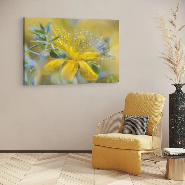 Multicolor_16_X_24_Inch,_Pine_Wood_Framed_Canvas_Paintings_|_For_Home_Decor,_Ready_To_Wall_Hanging,_Premium_Painting_|_For_|_Bedroom,_Living_Room,_Office_Wall_Decoration_|_Wall_Art_Painting,_Ct2381