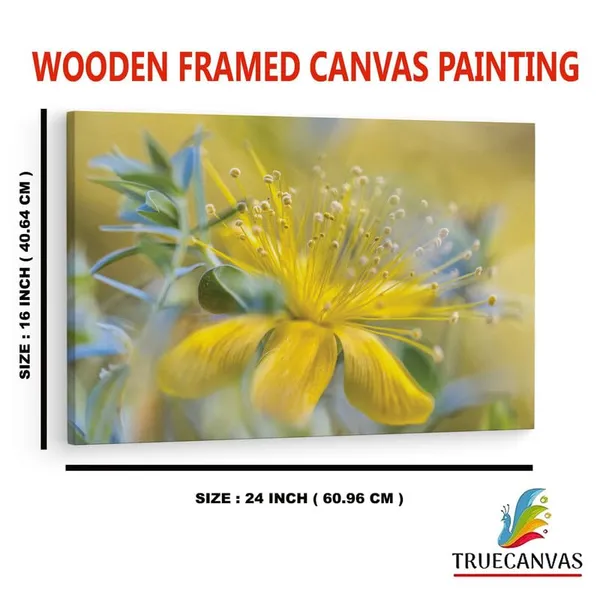 Multicolor_16_X_24_Inch,_Pine_Wood_Framed_Canvas_Paintings_|_For_Home_Decor,_Ready_To_Wall_Hanging,_Premium_Painting_|_For_|_Bedroom,_Living_Room,_Office_Wall_Decoration_|_Wall_Art_Painting,_Ct2381