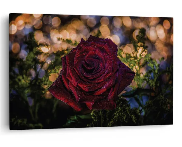 Multicolor_16_X_24_Inch,_Pine_Wood_Framed_Canvas_Paintings_|_For_Home_Decor,_Ready_To_Wall_Hanging,_Premium_Painting_|_For_|_Bedroom,_Living_Room,_Office_Wall_Decoration_|_Wall_Art_Painting,_Ct2382