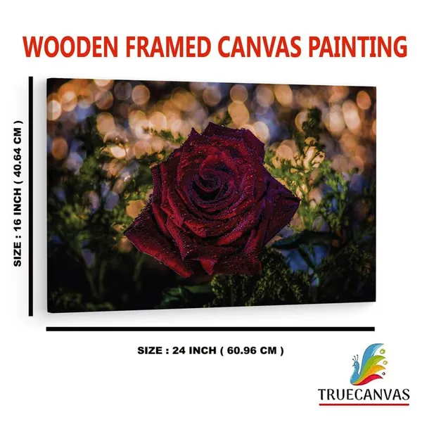 Multicolor_16_X_24_Inch,_Pine_Wood_Framed_Canvas_Paintings_|_For_Home_Decor,_Ready_To_Wall_Hanging,_Premium_Painting_|_For_|_Bedroom,_Living_Room,_Office_Wall_Decoration_|_Wall_Art_Painting,_Ct2382
