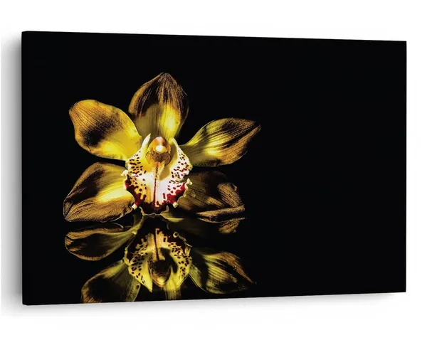 Multicolor_16_X_24_Inch,_Pine_Wood_Framed_Canvas_Paintings_|_For_Home_Decor,_Ready_To_Wall_Hanging,_Premium_Painting_|_For_|_Bedroom,_Living_Room,_Office_Wall_Decoration_|_Wall_Art_Painting,_Ct2385