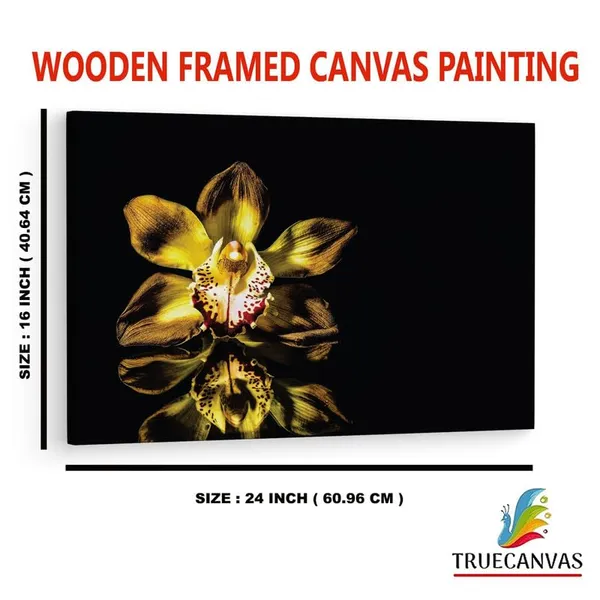 Multicolor_16_X_24_Inch,_Pine_Wood_Framed_Canvas_Paintings_|_For_Home_Decor,_Ready_To_Wall_Hanging,_Premium_Painting_|_For_|_Bedroom,_Living_Room,_Office_Wall_Decoration_|_Wall_Art_Painting,_Ct2385