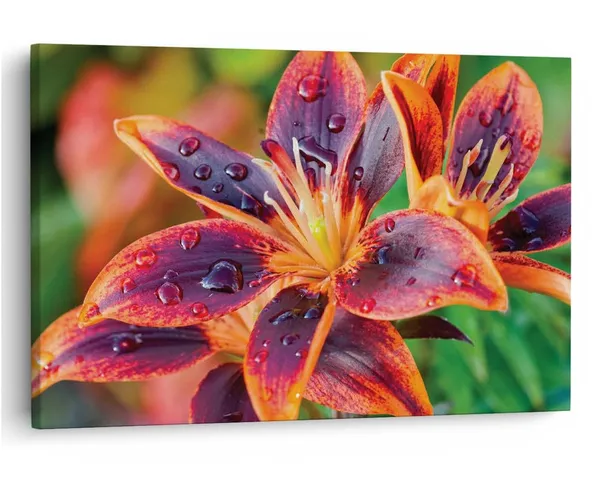Multicolor_16_X_24_Inch,_Pine_Wood_Framed_Canvas_Paintings_|_For_Home_Decor,_Ready_To_Wall_Hanging,_Premium_Painting_|_For_|_Bedroom,_Living_Room,_Office_Wall_Decoration_|_Wall_Art_Painting,_Ct2389