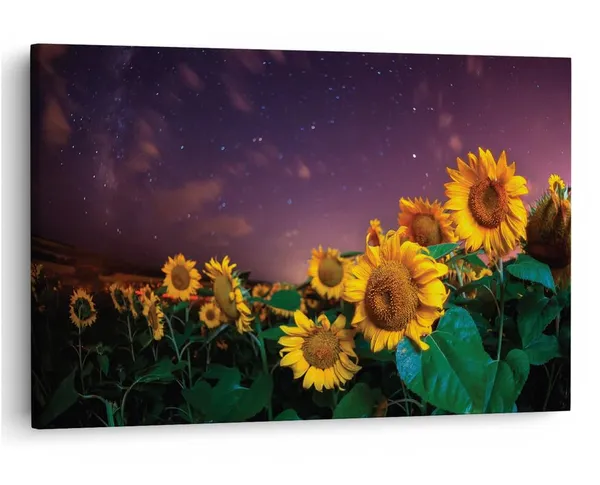 Multicolor_16_X_24_Inch,_Pine_Wood_Framed_Canvas_Paintings_|_For_Home_Decor,_Ready_To_Wall_Hanging,_Premium_Painting_|_For_|_Bedroom,_Living_Room,_Office_Wall_Decoration_|_Wall_Art_Painting,_Ct2394