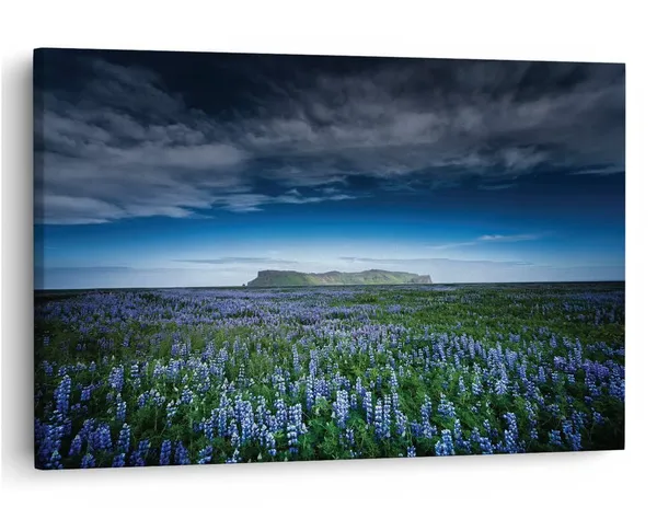 Multicolor_16_X_24_Inch,_Pine_Wood_Framed_Canvas_Paintings_|_For_Home_Decor,_Ready_To_Wall_Hanging,_Premium_Painting_|_For_|_Bedroom,_Living_Room,_Office_Wall_Decoration_|_Wall_Art_Painting,_Ct2396