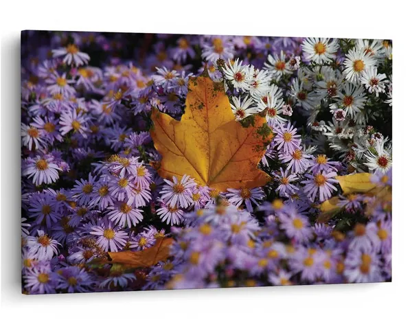 Multicolor_16_X_24_Inch,_Pine_Wood_Framed_Canvas_Paintings_|_For_Home_Decor,_Ready_To_Wall_Hanging,_Premium_Painting_|_For_|_Bedroom,_Living_Room,_Office_Wall_Decoration_|_Wall_Art_Painting,_Ct2398